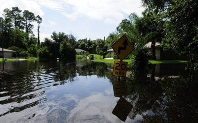 Water Damage? What You Need to Know