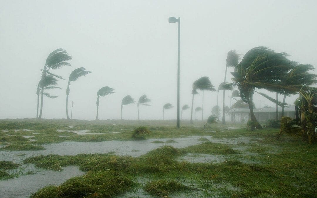Wind Mitigation Inspections in Florida