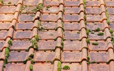 Top 7 Signs You Need to Replace Your Roof