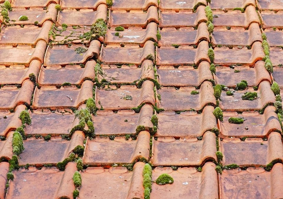 replace your roof