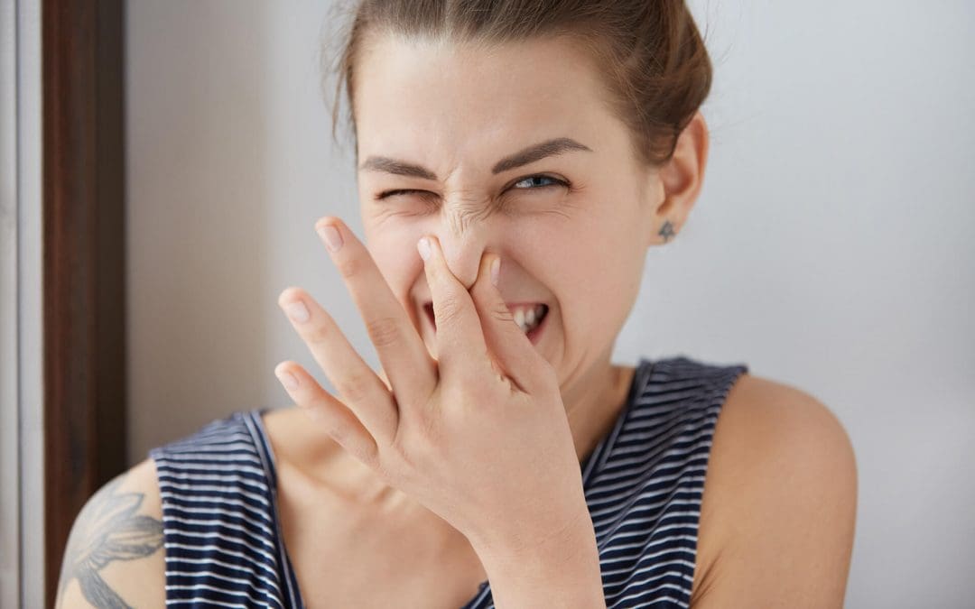 Signs That You Have a Plumbing Problem in Your Home