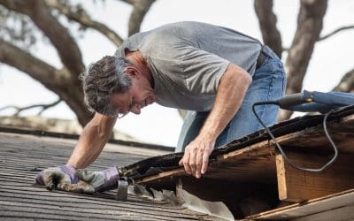 Home Maintenance Tasks That Turn Costly if You Delay