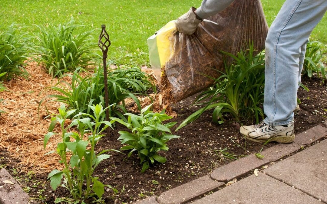 Spring Home Improvement Ideas