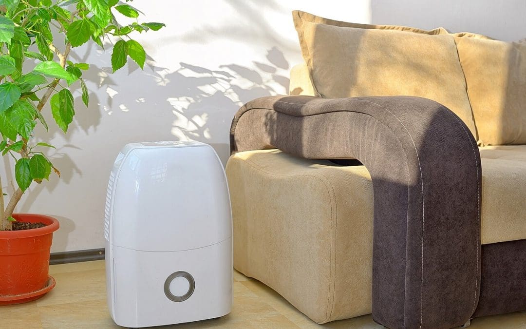 4 Ways to Create a Healthier Home