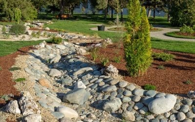 10 Ways to Improve Drainage on Your Property