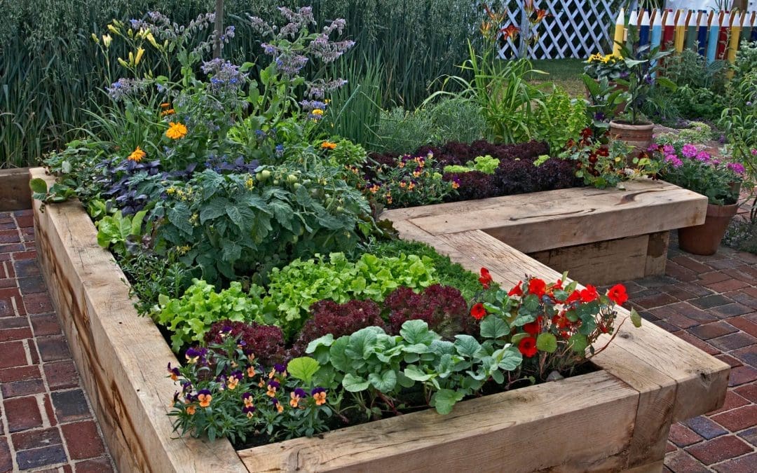 How to Help Your Garden Survive Summer in Florida